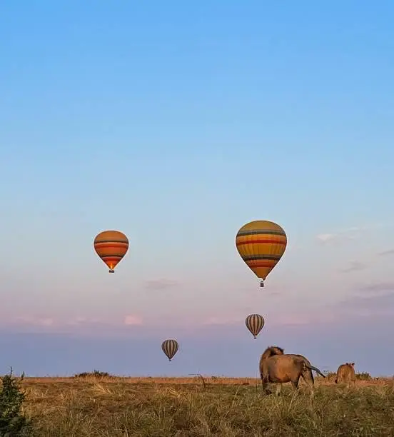 7-Day Highlights of Kenya Safari