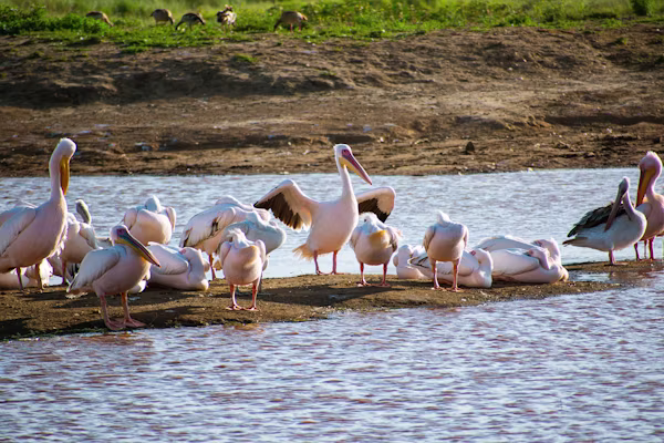 Lake Nakuru