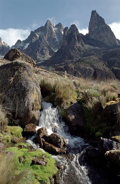 Sirimon Summit: 4-Day Mount Kenya Trekking Adventure