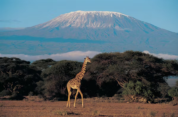 5 Days Kenya Budget Camping Safari