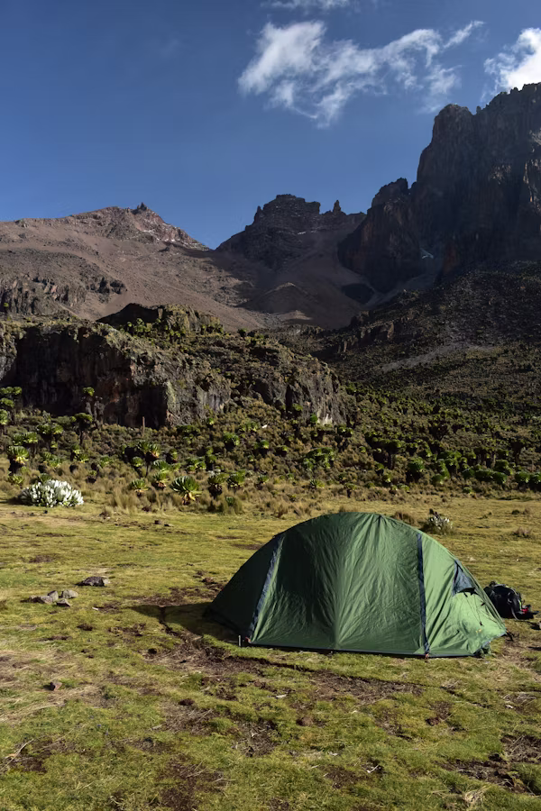 Mount Kenya Moorland