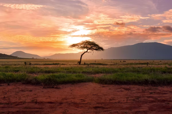 Masai Mara Safari